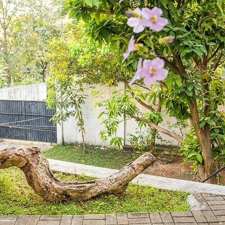 Battaramulla Boutique Villa Sri Jaiavardenapura-Kotte Exterior foto